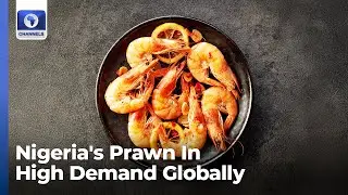 Nigeria's Prawn In High Demand Globally