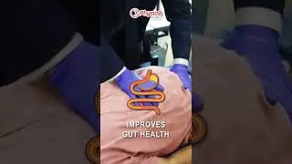 Find The Benefits Of Visceral And Manual Osteopathy | Dr. Mahesh Chakor - Best Chiropractor In Pune