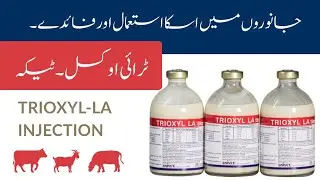 Trioxyl LA Injection | Amoxicillin 15% | Uses, Dosage & Benefits in Animals