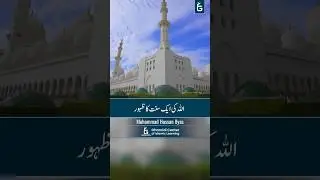Manifestation of a Divine Law | اللہ کی ایک سنت کا ظہور | Hasan Ilyas