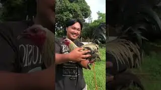 KA EYO GAME FARM | ANGAT BULACAN | Part 1