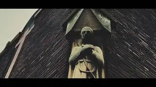 Red Pine Mushroom - Shadows (official video)