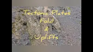 Folds & Uplifts Tectonic Plates #geology 