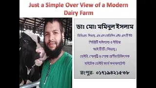 Just a Simple Explanation of A Modern Dairy Farm. Feed Alley, TMR, HF cows, Milking Parlor
