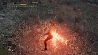 Gank squad