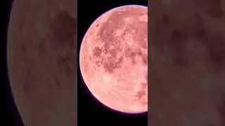 April's Full Pink Moon 🩷🌕✨ disclaimer Pink Moon is not actually color pink. #pinkmoon #selenophile