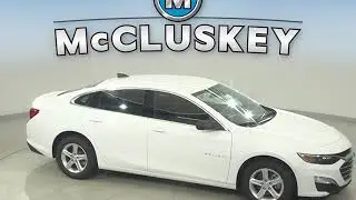 204055 mccluskey spin
