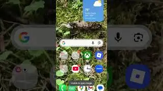 google lost media?!