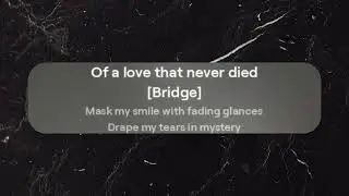 🌑 
