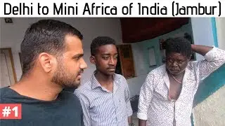TRAVELING TO MINI AFRICA OF INDIA (Jambur, Gujarat) | Hindi