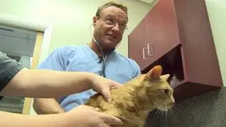 Preventing Tick- and Flea-borne Disease