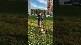 Неуловимое Яйцо /ч.3 (полное видео в Telegram - Kvik DoG)