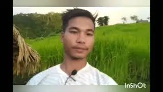 Moi video asha da skin nukre na certificate