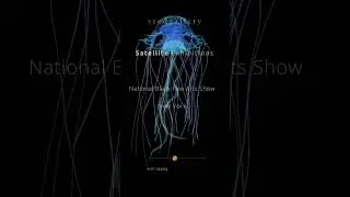 Exploring The Satellite Exhibitions | Seed Gallery #exhibition #art #artist #gallery #visit #shorts