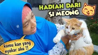 Kunyit Dapat Hadiah Spesial Dari Si Kucing Meong 😄 Asti Kunyit - Bunda Aqilla Eps 49