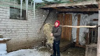 Она не покрыта! Они здесь не живут. 