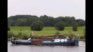 Hasselteraak 21.25 met Rijncertificaat