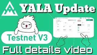 Yala Testnet V3 Update How To Earn More Berries