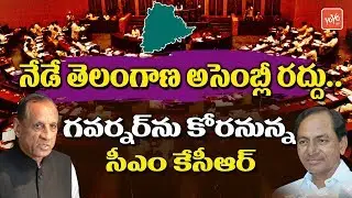 CM KCR to Dissolve Telangana Assembly Today | KCR Meet Governor ESL Narasimhan | YOYO TV Channel