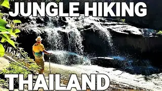 TREKKING IN ASIA. THAILAND JUNGLE HIKING PART 3 RAYONG #jungle