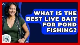 What Is The Best Live Bait For Pond Fishing? - Chasing Big Fish