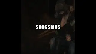 SKOGSMUS