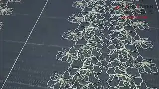 Embroidery, eyelash lace, underwear, automatic visual cutting machine