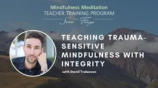 Teaching Trauma-Sensitive Mindfulness With Integrity &ndash; How to Teach Meditation With David Treleavean