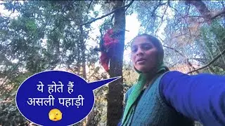 ये होते हैं असली पहाड़ी @MamtaBajwalvlogs #uttrakhand #phadilifestyle #youtubevideo 
