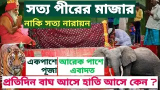 সত্য পীরের মাজার Mazar Sharif একপাশে ইবাদাত আরেকপাশে পূজা  Satkania Chittagong বাঘ হাতি আসে কেন