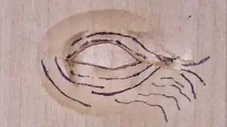 Eye Tutorial Part2