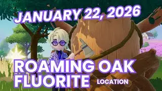 January 22, 2026 - Roaming Oak Tree & Flawless Fluorite Location! Heartopia
