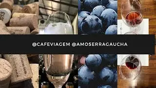 8 meses de curso de Sommelier da ABS-RS