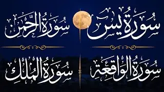 Surah Yaseen, Surah Rahman, Surah Waqiah, Surah Mulk, Relaxing Voice, Recitation Quran