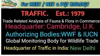 TRAFFIC: A NGO FOR MONITOR WILDLIFE TRADE