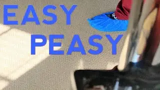The Easiest Carpets to Clean | Hot Water Extraction