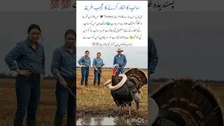 Wild Turkey birds🦃Amazing Nature Effect Wildlife Animal #turkeybirds #naturefacts #wildlife #shorts