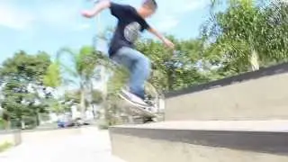 Zig Zag Team - Will