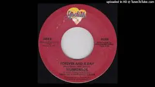 Rare Modern Soul Funk 45 Numonics &ndash; Forever And A Day
