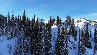 Mount Rainier from Crystal Mountain