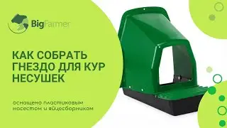 Как собрать гнездо для кур несушек 10125 GAUN