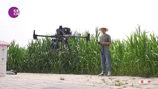 Smart Agriculture Technology Mitigates Impact of Harsh Weather Conditions