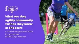 FREE Webinar: What our dog agility community wishes they knew at the start!