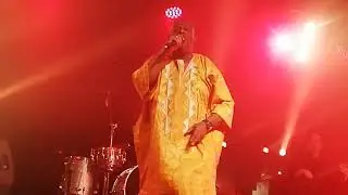 TIPPA IRIE 6