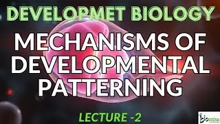 DEVELOPMENT BIOLOGY | LECTURE-2 | Mechanisms of developmental patterning | AUTONOMOUS | CONDITIONAL