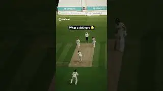 Ryan Higgins takes off-stump out the ground 😍