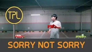 Demi Lovato - Sorry Not Sorry (TPL Cover)