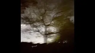 Summer Todd's Creepy Corner
