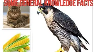 Some General Knowledge Facts by Ram😊