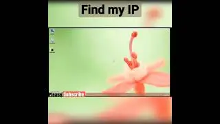 Find my IP